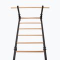 Scară de gimnastică RINAGYM Steel Pure graphit 4