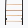 Scară de gimnastică RINAGYM Steel Pure graphit 8