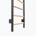Scară de gimnastică RINAGYM Steel Pure graphit 9