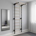 Scară de gimnastică RINAGYM Steel Pure graphit 14