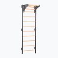 Scară de gimnastică RINAGYM Steel Kom 2 graphit