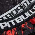 Jambiere pentru bărbați Pitbull West Coast Compr Pants Blood Dog black 3