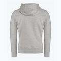 Hanorac pentru bărbați Pitbull West Coast Hooded Small Logo 21 grey/melange 2