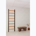 BenchK Scară de gimnastică negru BK-210B 11