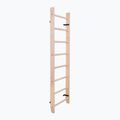 Scară de gimnastică BenchK maro BK-110