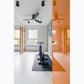 Scară de gimnastică BenchK maro BK-110 10