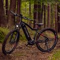 Bicicleta electrică Ecobike RX500 17.5Ah LG negru 1010406 18
