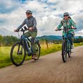 Bicicleta electrică Ecobike MX500 LG albastru 1010309 19