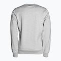 Hanorac pentru bărbați Pitbull West Coast Crewneck Fern grey/melange 2