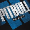 Tricou pentru bărbați Pitbull West Coast Vale Tudo black 8