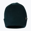 Căciulă de iarnă pentru bărbați Pitbull West Coast Beanie Small Logo dark green 2