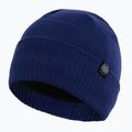 Căciulă de iarnă Pitbull West Coast Beanie Small Logo royal blue