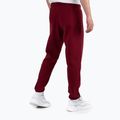 Pantaloni pentru bărbați Pitbull West Coast Track Pants Athletic burgundy 2