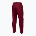 Pantaloni pentru bărbați Pitbull West Coast Track Pants Athletic burgundy 6