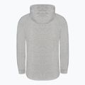 Hanorac pentru bărbați Pitbull West Coast Hooded Small Logo Spandex 210 grey 7