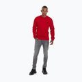 Hanorac pentru bărbați Pitbull West Coast Tanbark Crewneck Sweatshirt red 2