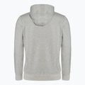 Hanorac pentru bărbați Pitbull West Coast Hooded Zip Small Logo F.Terry 220 grey/melange 6