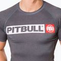 Rashguard pentru bărbați Pitbull West Coast T-S Rash Hilltop grey/melange 4