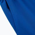 Pantaloni pentru bărbați Pitbull West Coast Durango Jogging 210 royal blue 4