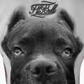 Tricou pentru femei Pitbull West Coast Ir white 3