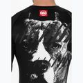 Rashguard longsleeve pentru bărbați Pitbull Rashguard Street Dog black 5