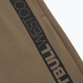 Pantaloni scurți pentru bărbați Pitbull West Coast Saturn coyote brown 8
