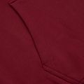 Hanorac pentru bărbați Pitbull West Coast Everts Hooded burgundy 6