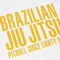Tricou pentru bărbați Pitbull West Coast BJJ Champions white 3