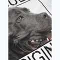 Tricou pentru bărbați Pitbull West Coast Origin white 7