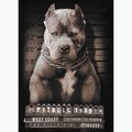 Tricou negru pentru bărbați Pitbull West Coast Mugshot 2 negru 8