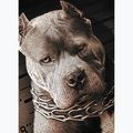 Tricou negru pentru bărbați Pitbull West Coast Mugshot 2 negru 9