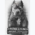 Tricou alb pentru bărbați Pitbull West Coast Mugshot 2 8