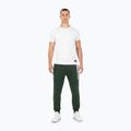 Pantaloni pentru bărbați Pitbull New Hilltop Jogging dark green 2