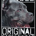 Pulover cu glugă pentru bărbați Pitbull West Coast Origin cu glugă 7