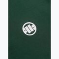Tricou polo pentru bărbați Pitbull Polo Pique Stripes Regular jade green 6