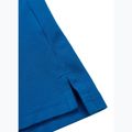 Tricou polo pentru bărbați Pitbull Polo Pique Stripes Regular royal blue 9