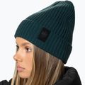 Căciulă de iarnă Pitbull Beanie Velcro Logo green 4