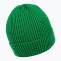 Căciulă de iarnă pentru bărbați Pitbull Beanie Dock green 2