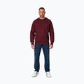 Bluză pentru bărbați Pitbull Small Logo Crewneck burgundy 2