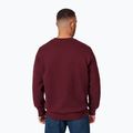 Bluză pentru bărbați Pitbull Small Logo Crewneck burgundy 3