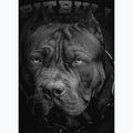 Bluză pentru bărbați Pitbull Hooded Born In 1989 black 4