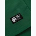 Tricou pentru bărbați Pitbull Small Logo leaf green 6