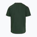 Tricou pentru bărbați Pitbull Small Logo green 8