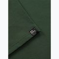 Tricou pentru bărbați Pitbull Small Logo green 11