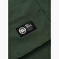 Tricou pentru bărbați Pitbull Small Logo green 12