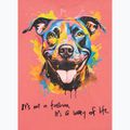 Tricou pentru femei Pitbull Watercolor coral 9