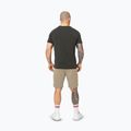Pantaloni scurți pentru bărbați Pitbull Dogwood Sport dark sand 3