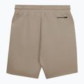 Pantaloni scurți pentru bărbați Pitbull Dogwood Sport dark sand 2