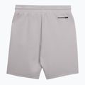Pantaloni scurți pentru bărbați Pitbull Dogwood Sport white/blue 2