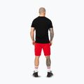 Pantaloni scurți pentru bărbați Pitbull Dogwood Sport fluo/red 3